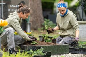 Blumen Bauchinger – Linz