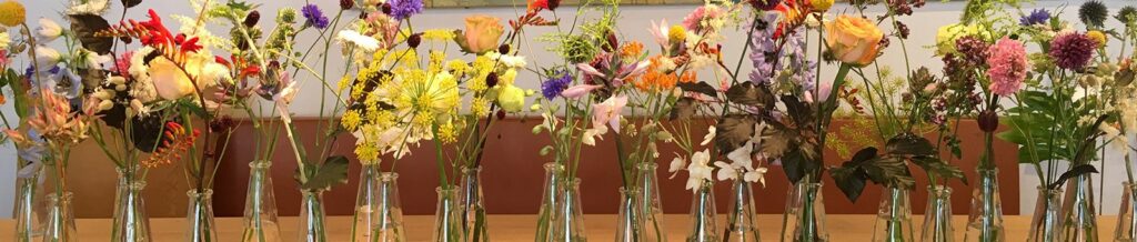 Blumen Bauchinger – Leonding