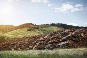 Anlage im Sägewerk Steyrermühl