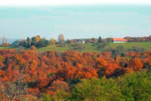 Gasthaus Leiner KG – Unter-Henndorf