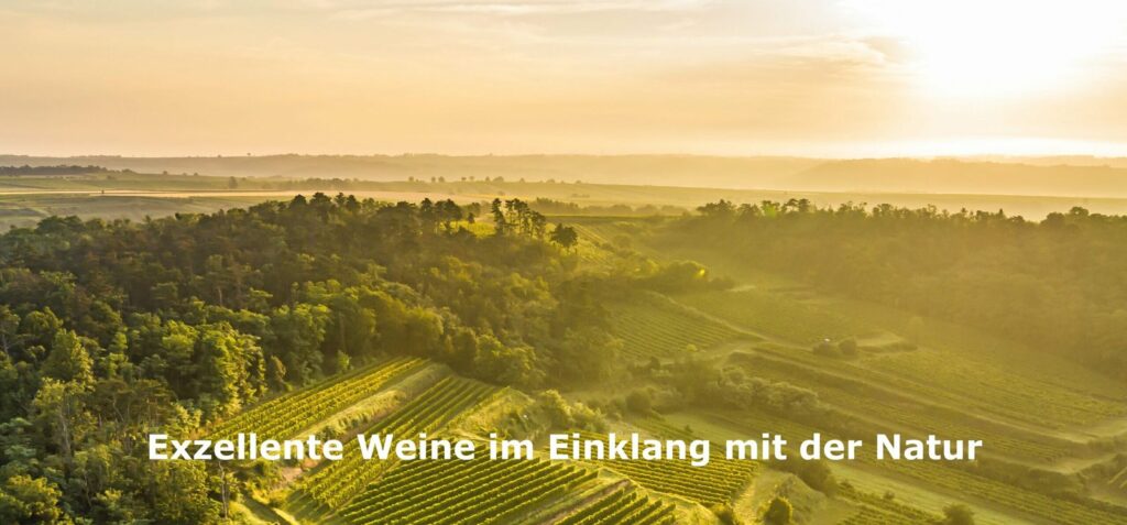Weingut Leth – Fels am Wagram
