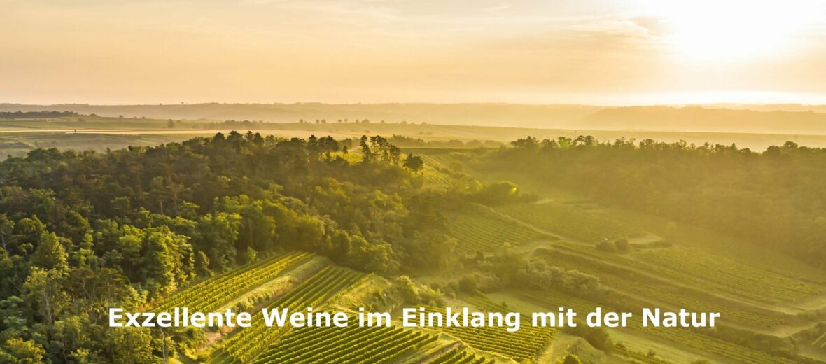 Weingut Leth – Fels am Wagram