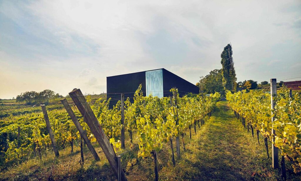 Weingut Fred Loimer – Langenlois