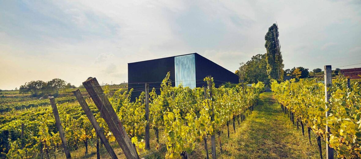 Weingut Fred Loimer – Langenlois