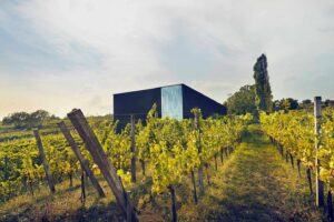 Weingut Fred Loimer – Langenlois