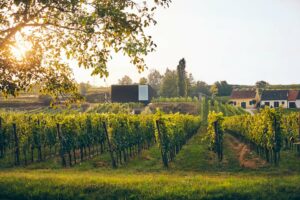 Weingut Fred Loimer – Langenlois