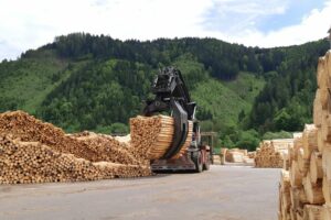 Produktionsmitarbeiter Sägewerk – Mayr-Melnhof Holz Leoben