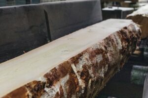 Tischler – Mayr-Melnhof Holz Leoben