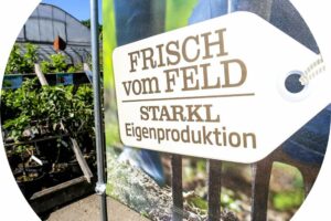 Starkl in Aschbach, Freigelände