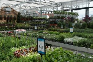 Glashaus des Starkl-Gartencenters Pfaffstätten
