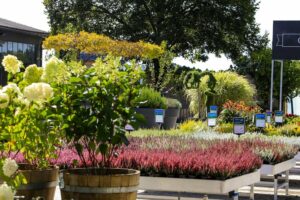 Pflanzen im Starkl-Gartencenter Pottendorf