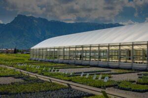 Gartenbau Winklhofer – Wals-Siezenheim